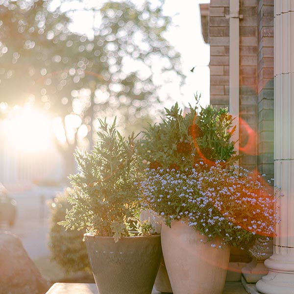 landscape-maintenance-46